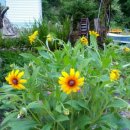 태호네농장 이미지