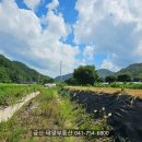 궁동천 이미지