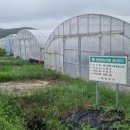 심원천 이미지