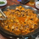 신쭈꾸미 | 광주 상무지구 맛집 진리의 신쭈꾸미 내돈내산 후기