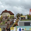 임실엔(N)치즈피자산본점 | 2025 임실N치즈축제 후기