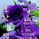 삼복 더위를 이기자ㅡ초복 중복 말복 ㅡ 이미지