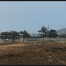 학암포 주차장 이미지