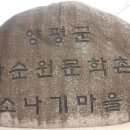 소나기전 네이버블로그
