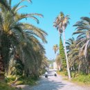 마당스낵 이미지