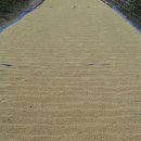 청연마을 이미지