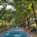 성내7교 하부 이미지