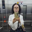 수원-0648 이미지