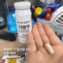 [지엘핏다이어트] 3달 솔직후기 :: 체지방감소 유산균, 대략 -10kg 감량성공