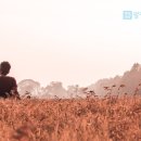 팔팔힘찬한의원 이미지