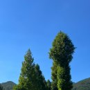 메릴랜드맨션 이미지