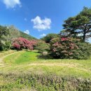 백일홍명품길 | “입장 무료인데 말이 안 되는 설경 명소” 담양 명소 명옥헌 원림