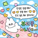 (주)쏘캔 | 서울에서 먹다가 끝난 이야기[서울편]