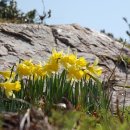 4월1일 봄맞이 최고의 남도산행 "해남 달마산 " 산행안내~ 이미지