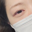 [그린뷰티살롱] 송파 메이크업 &amp; 속눈썹 펌 후기