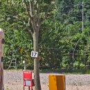 돌고래 오토 캠핑장 이미지