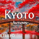 Kyoto, Japan in Autumn 4K 🍁 Beautiful Temples, Maple Leaves &amp; Peaceful Anc 이미지