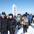 세복이와 주복이 산기운 받아 오다! 이미지