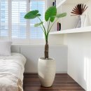 알로만농원 이미지