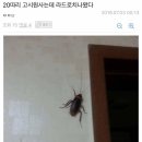 청소하다 이미지