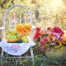 다짐 행정사 이미지