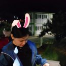 타이어프로 용원점 이미지