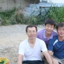 안면도솔바다 이미지