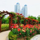 송도 해돋이공원 이미지