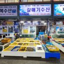 ㈜ 오토돔 서비스 | 태안 모항항 캠핑2탄 9시간 낚시하고 수산물 시장에서 사먹기/갈매기 수산