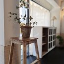 망원유수지체육공원인근쉼터 | 망원동 새로오픈 카페 탭커피, 시그니처 커피와 디저트, 인테리어 분위기까지 모두 만족 후기