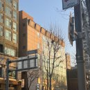 석촌갈비 | 🌇 롯데월드타워 뷰 맛집 잠실 석촌호수 갈비 맛집광화문갈비 석촌호수점 솔직 후기🥩