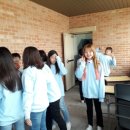 봉림초등학교 이미지