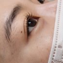 단아래쉬(DAHNA LASH) | [군자 속눈썹펌] 자연스러운 '단아래쉬' 속눈썹 펌 후기
