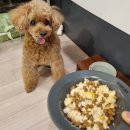 와락펫푸드 이미지