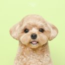 모멍트 이미지