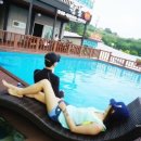 순천만쉼표 이미지