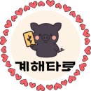 손으로꾸미는세상