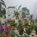 세븐일레븐 대구동대구점 | 동대구역꽃집 꽃게플라워 - 프리저브트플라워 미니다발 후기