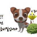 삼가야영장 안내센터 화장실 이미지