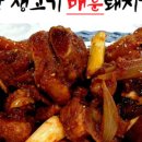 꼴통돼지 이미지