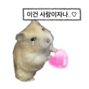 띠띠빵빵초밥 이미지