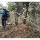 성사초등학교 이미지