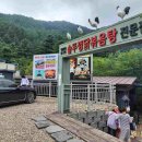 닭7579 이미지