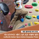 라드인사이드 편한 신상 클라이밍 바지 추천 - 세터 스판 코튼 카펜터 브라운 S 실착용 후기
