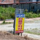 라일펜션 네이버블로그