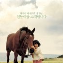각설탕 이미지