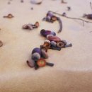 일상의 행복 이미지