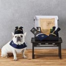 댕댕수라상 이미지