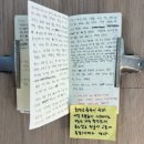 전시추천 | 연희동 플롯룸 Oth, 뿌리의 방 후기