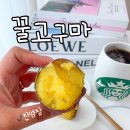 진영팜